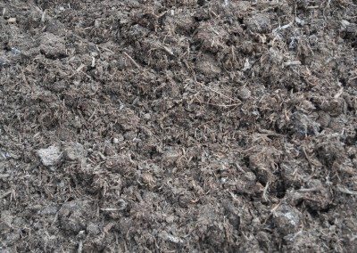 Mushroom Compost