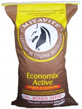 4_bonus_economix_active