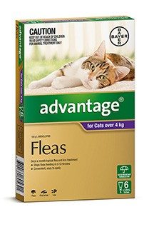 advantage_cat_over_4kg_6pack.jpg