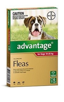 Dog Flea Worming Tick Treatments