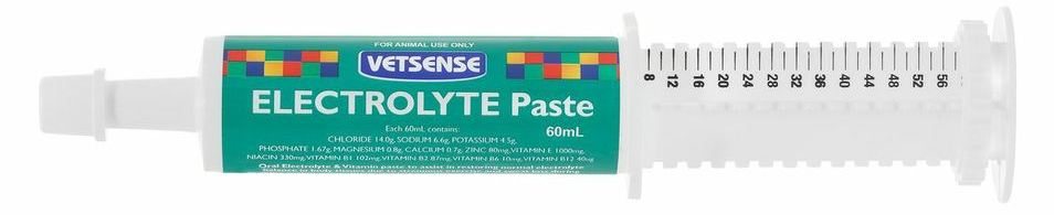 electrolyte paste for horses electrolyte paste for horses