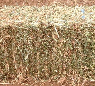 Oaten Hay