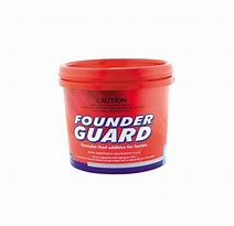 foundergaurd